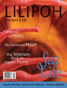 LILIPOH-Issue75